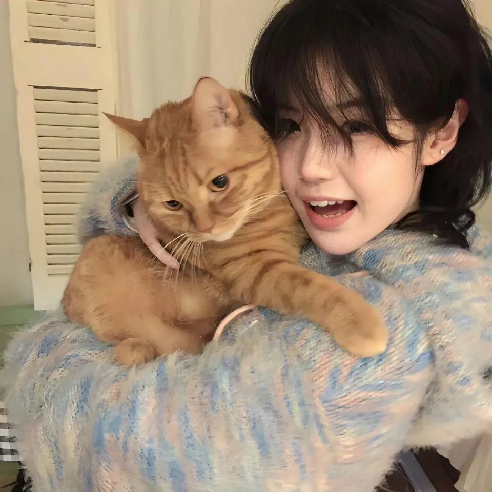 代号猎鹰